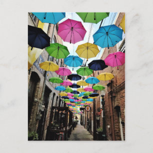 Orange Street Alley Postcard