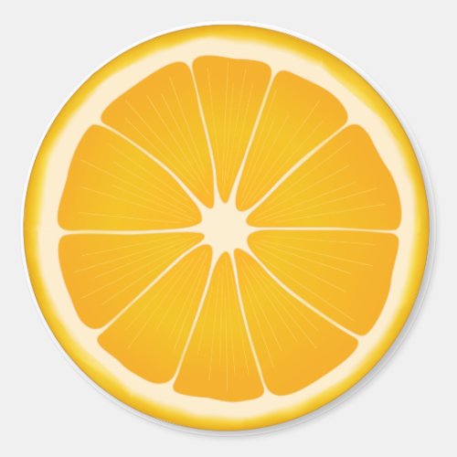  Orange Summer Fruit  Classic Round Sticker