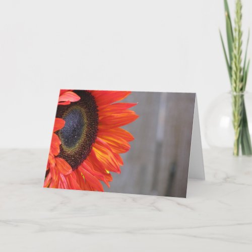 Orange Sunflower Blaze Card