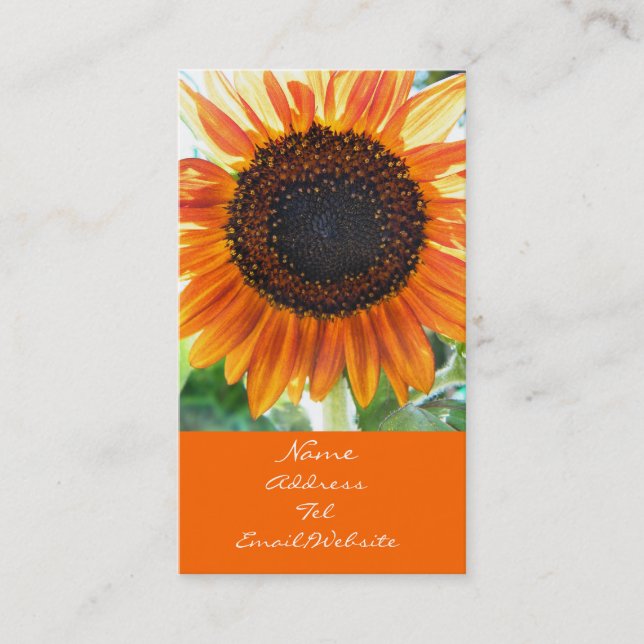 Orange Sunflower Bloom Business Card (Front)