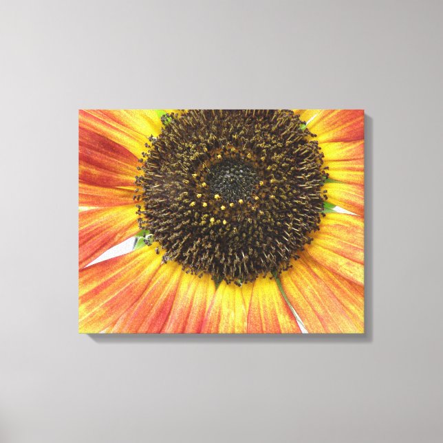 Orange Sunflower Canvas Print (Front)