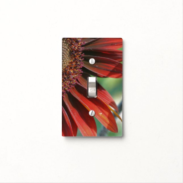 Orange Sunflower Floral    Light Switch Cover (In Situ)
