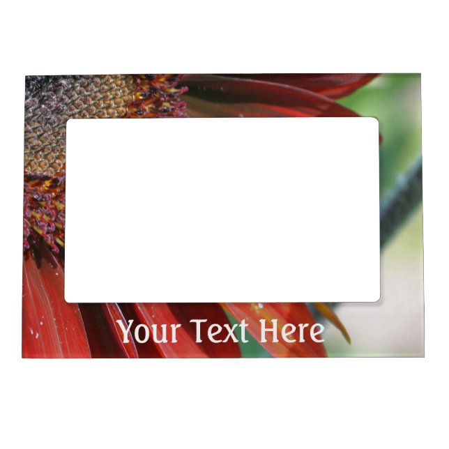 Orange Sunflower Petals Magnetic Frame (Front)