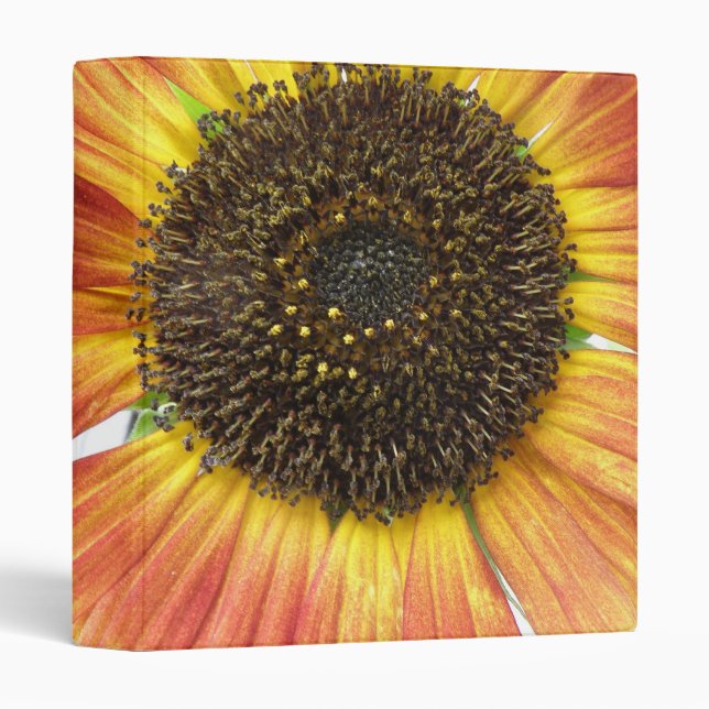 Orange Sunflower Photograph Album 3 Ring Binder (Front/Spine)
