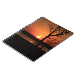 Orange Sunset and Trees Notebook