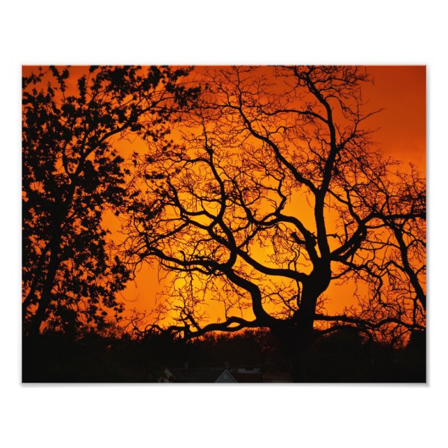 Orange  Sunset Photo Print (Front)