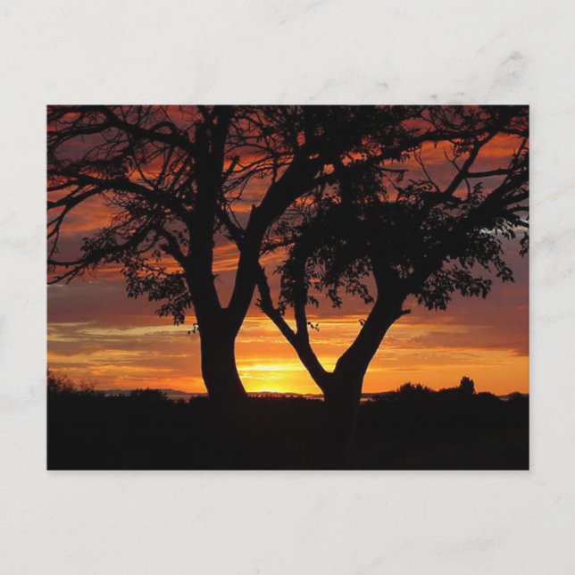 Orange Sunset Postcard (Front)