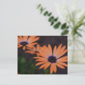 Orange Symphony (Standing Front)