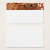 Orange Tabby (Front & Back)