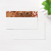 Orange Tabby (Desk)