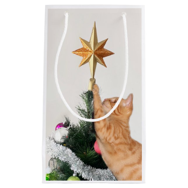 Orange tabby and Christmas star Small Gift Bag (Front)
