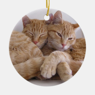 Orange Tabby Brothers Ceramic Ornament