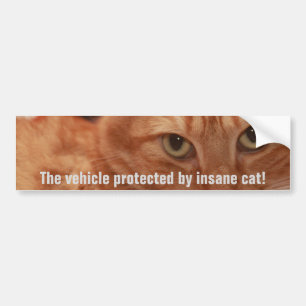 Orange Tabby Bumper Sticker