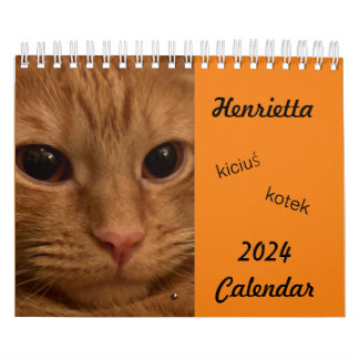 Orange Tabby Cat 2024 Calendar with POLISH words