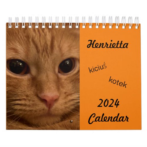 Orange Tabby Cat 2024 Calendar with POLISH words 