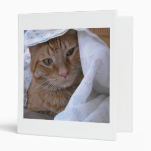 Orange Tabby Cat 3 Ring Binder