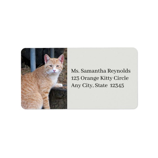 Orange Tabby Cat Address Labels (Front)