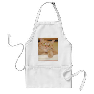 Orange Tabby Cat Adult Apron