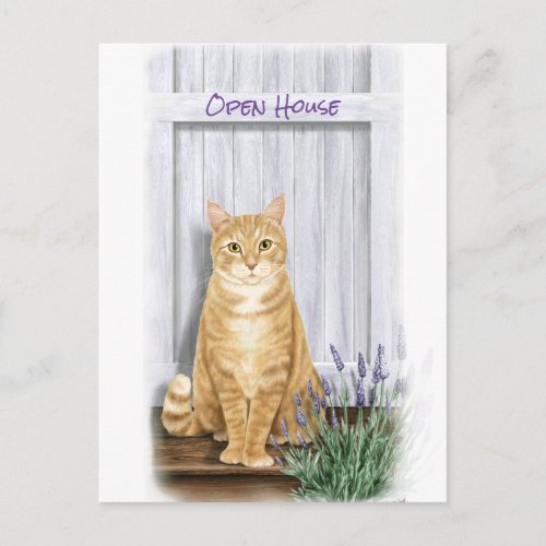 Orange Tabby Cat at Door with Lavender Flowers Postcard
