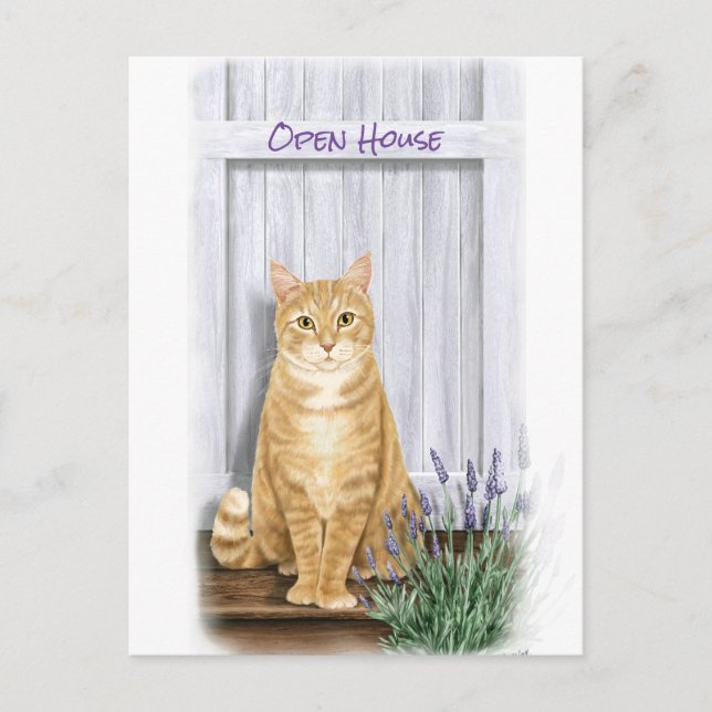 Orange Tabby Cat at Door with Lavender Flowers Postcard (Front)