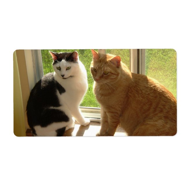 Orange Tabby Cat/Black & White Cat Label (Front)