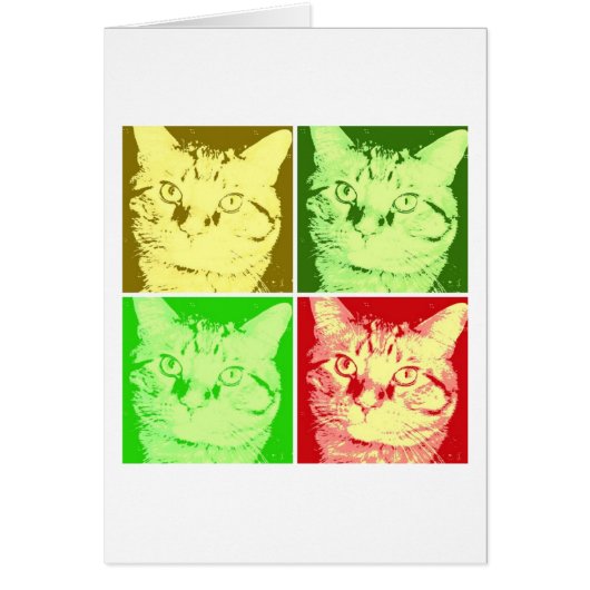Orange Tabby Cat Cards (Front)
