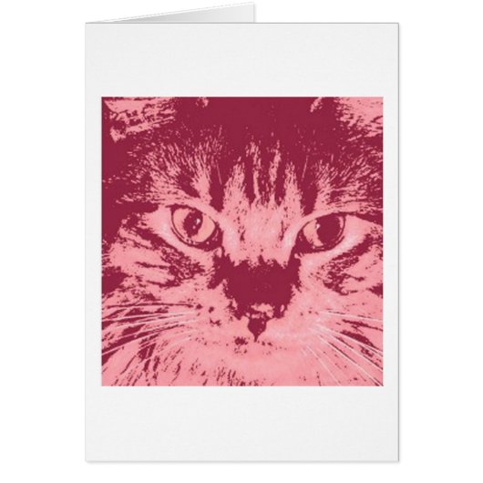 Orange Tabby Cat Cards (Front)
