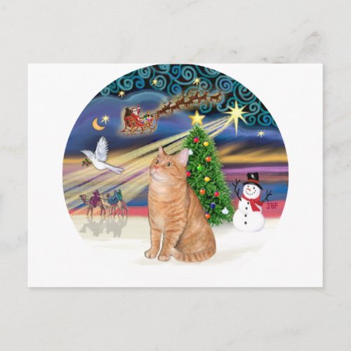 Orange Tabby Cat _ Christmas Magic Holiday Postcard