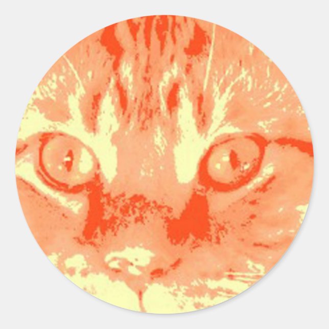 Orange Tabby Cat Classic Round Sticker (Front)