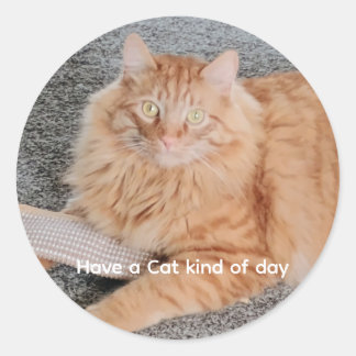Orange Tabby cat  Classic Round Sticker