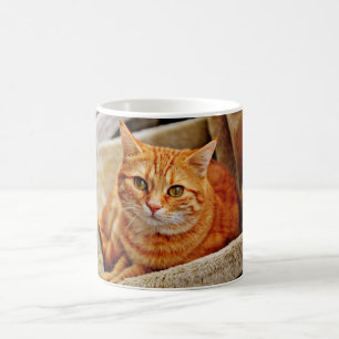 Orange Tabby Cat Coffee Mug