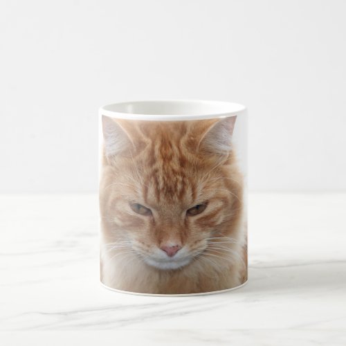 Orange Tabby Cat Coffee Mug