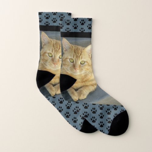 Orange Tabby Cat Custom Blue Socks