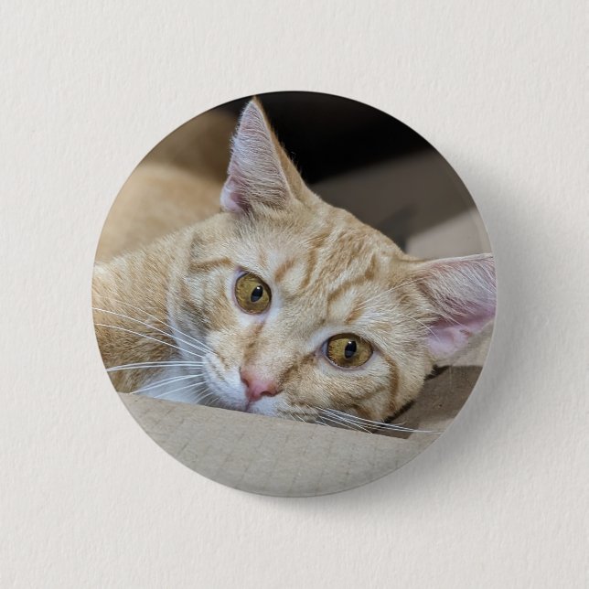 Orange Tabby Cat Cute  Button (Front)