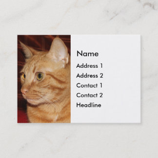 Orange Tabby Cat Face Close-up Business Card