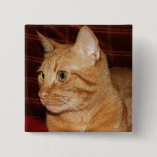 Orange Tabby Cat Face Close-up Button