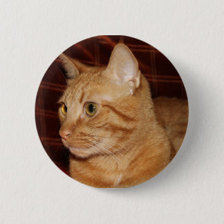 Orange Tabby Cat Face Close-up Button