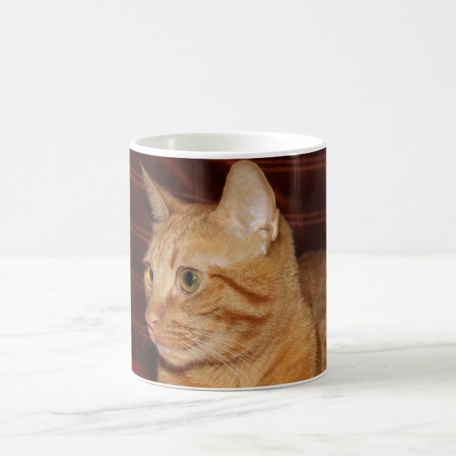 Orange Tabby Cat Face Close-up Coffee Mug (Center)