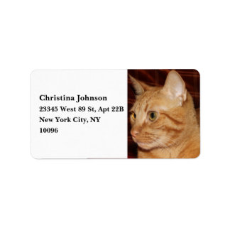Orange Tabby Cat Face Close-up Label