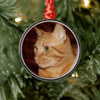 Orange Tabby Cat Face Close-up Metal Ornament
