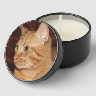 Orange Tabby Cat Face Close-up Mini Candle Favors