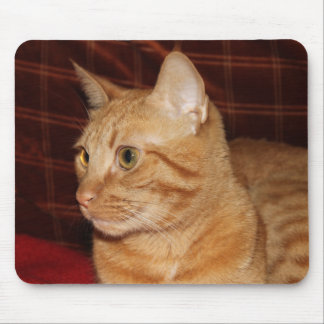 Orange Tabby Cat Face Close-up Mouse Pad