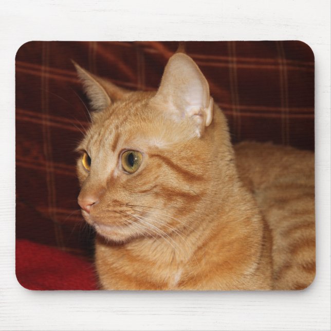 Orange Tabby Cat Face Close-up Mouse Pad (Front)