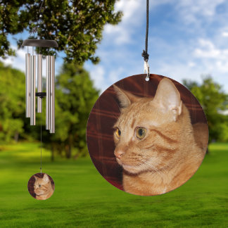 Orange Tabby Cat Face Close-up Wind Chime
