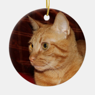 Orange Tabby Cat Face Profile Ceramic Ornament