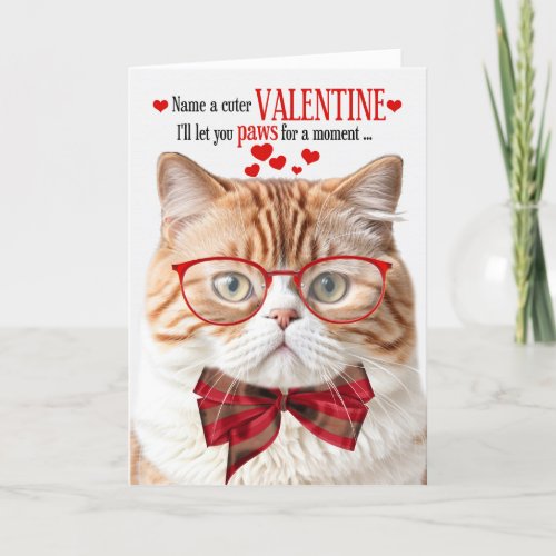 Orange Tabby Cat Feline Humor Valentines Day Holiday Card