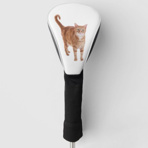 Orange Tabby Cat Golf Head Cover