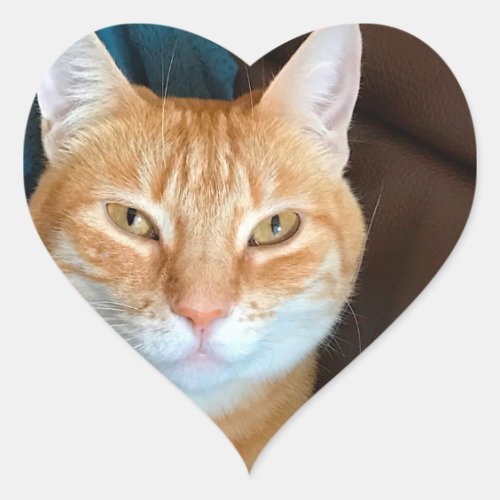 Orange tabby cat heart sticker