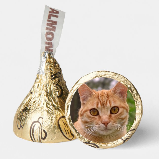 Orange Tabby Cat hershey kisses Hershey®'s Kisses® (Front)