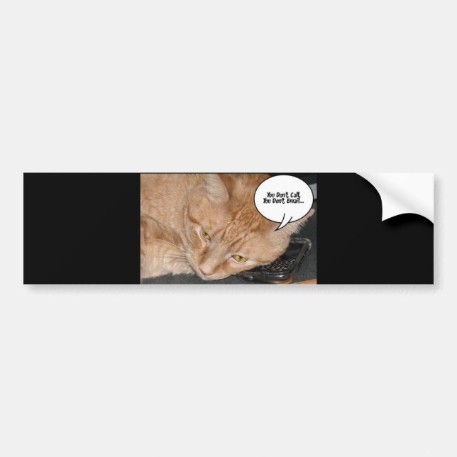 Orange Tabby Cat Humor/Cell Phone Bumper Sticker (Front)